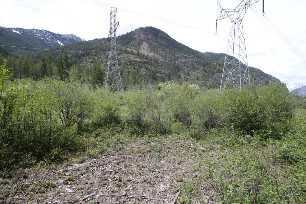 Nhn Tract 1-d River Road W Plains MT 59859