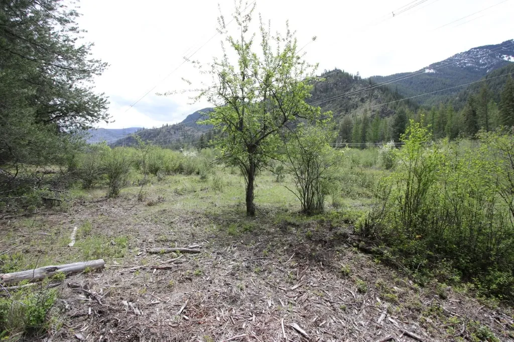 Nhn Tract 1-d River Road W Plains MT 59859