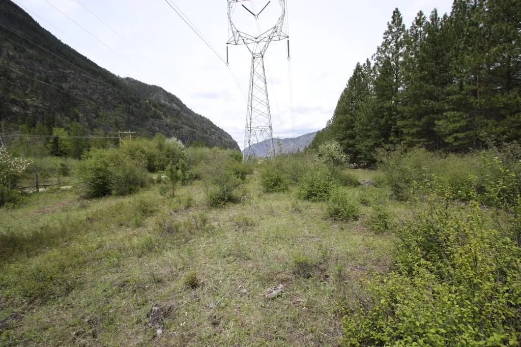Nhn Tract 1-d River Road W Plains MT 59859