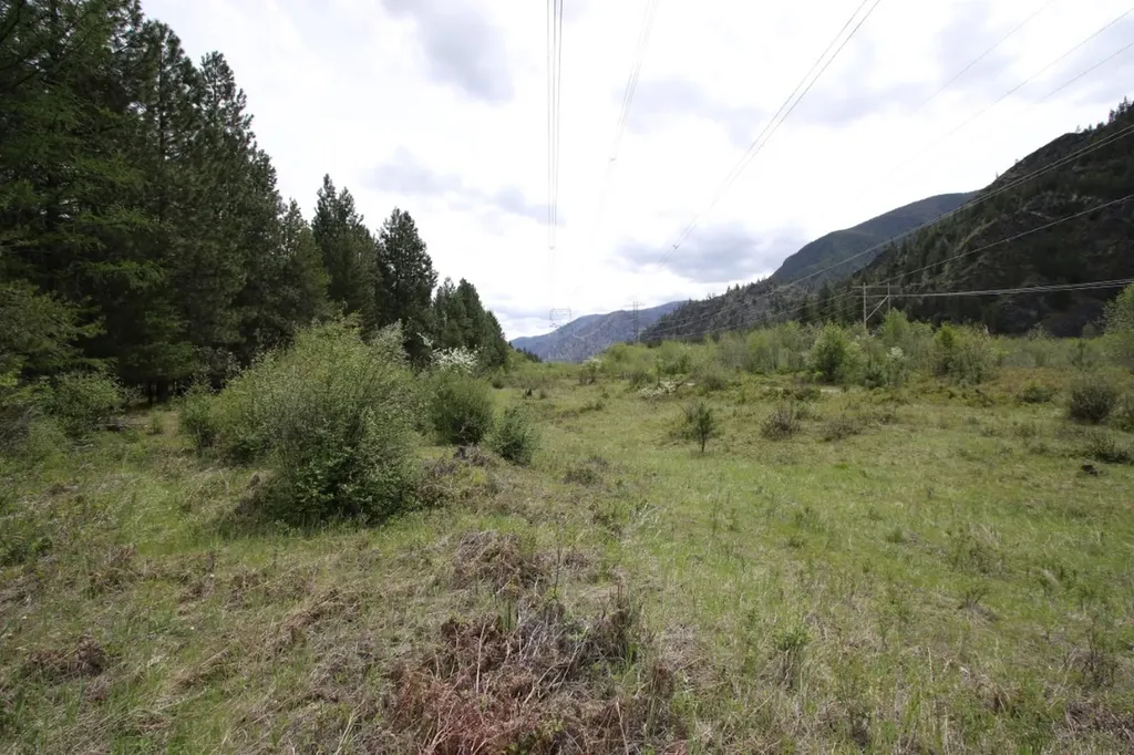 Nhn Tract 1-d River Road W Plains MT 59859