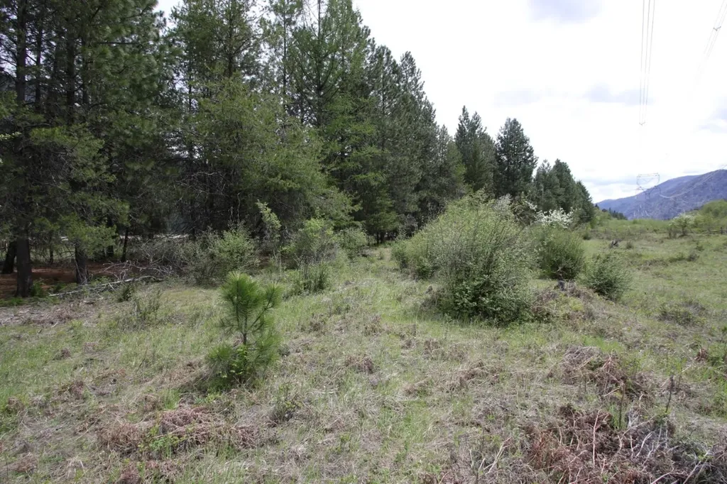 Nhn Tract 1-d River Road W Plains MT 59859