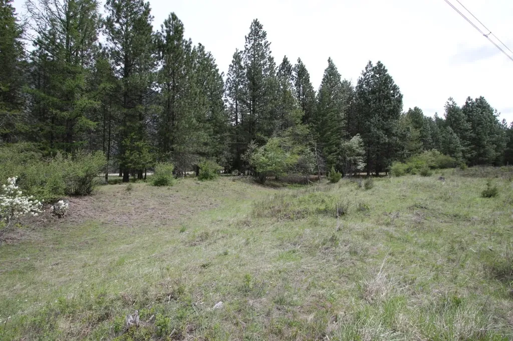 Nhn Tract 1-d River Road W Plains MT 59859