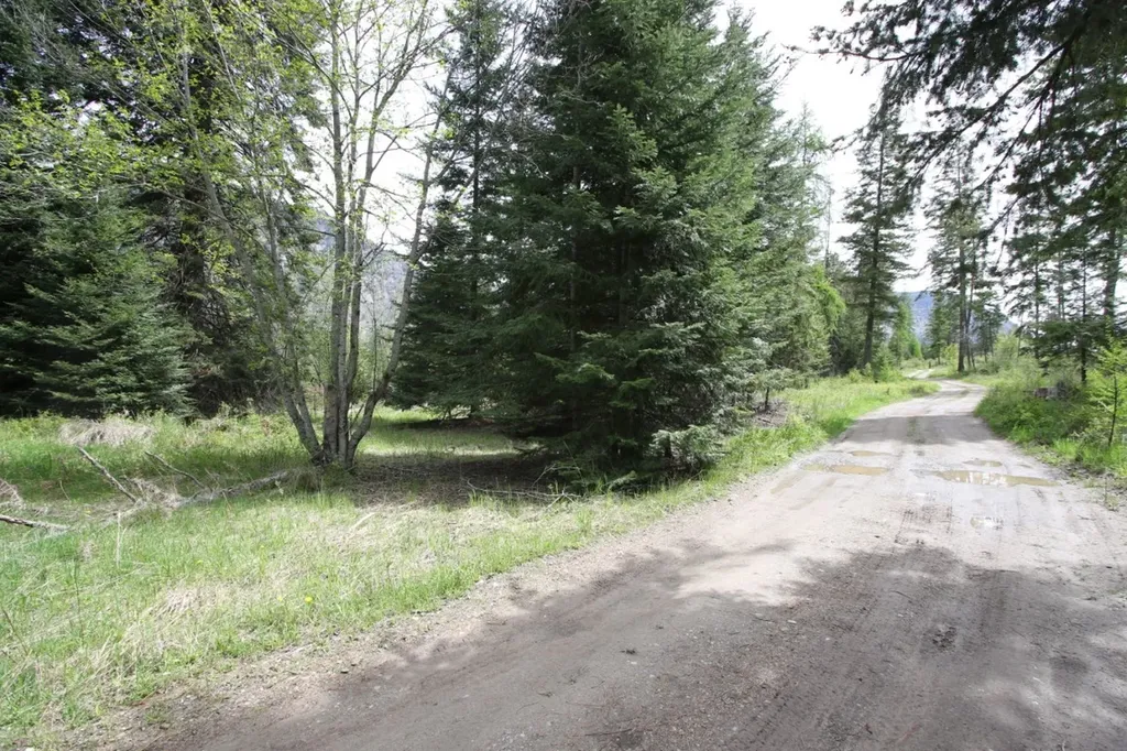 Nhn Tract 1-b River Road W Plains MT 59859