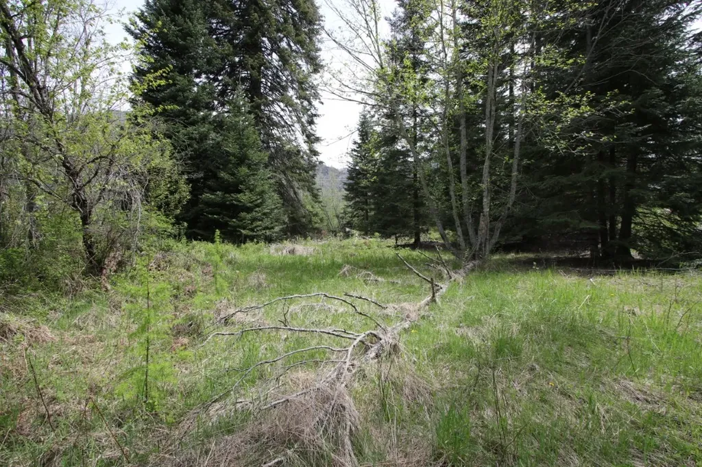 Nhn Tract 1-b River Road W Plains MT 59859