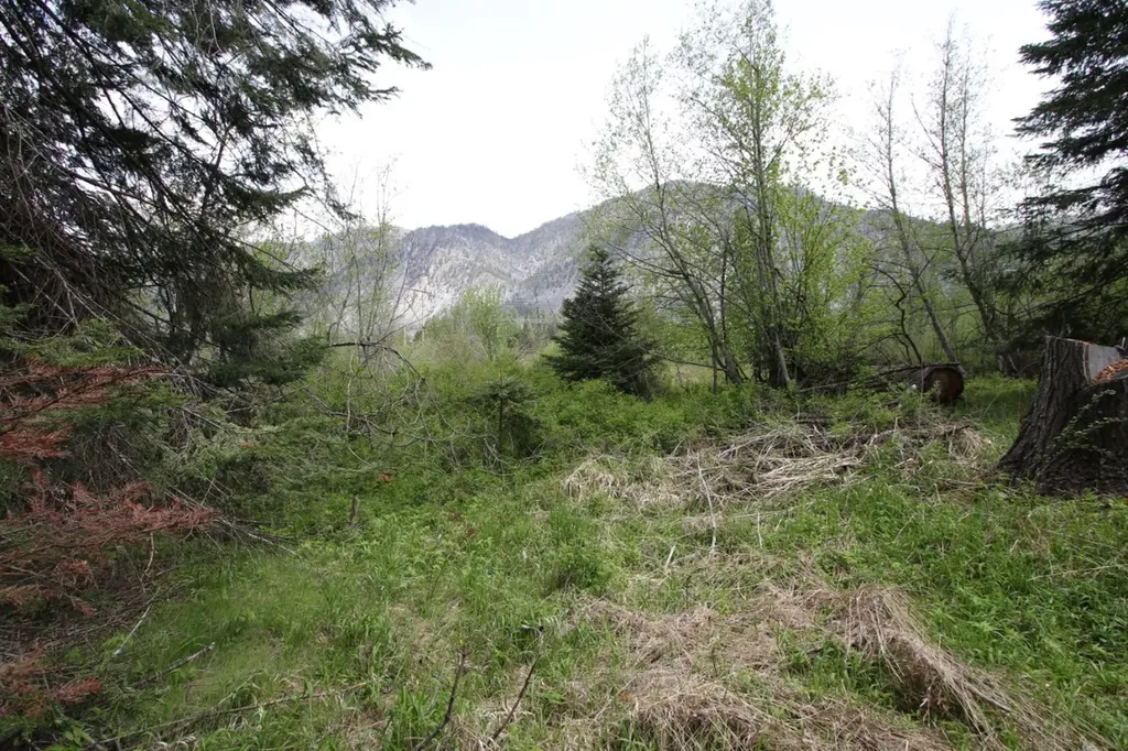 Nhn Tract 1-b River Road W Plains MT 59859