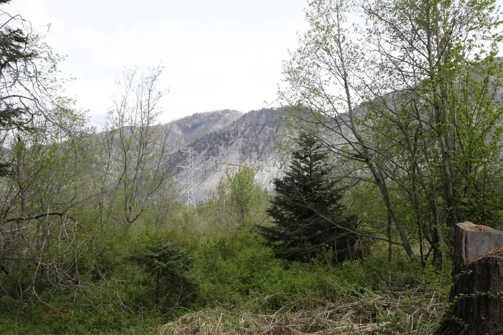 Nhn Tract 1-b River Road W Plains MT 59859