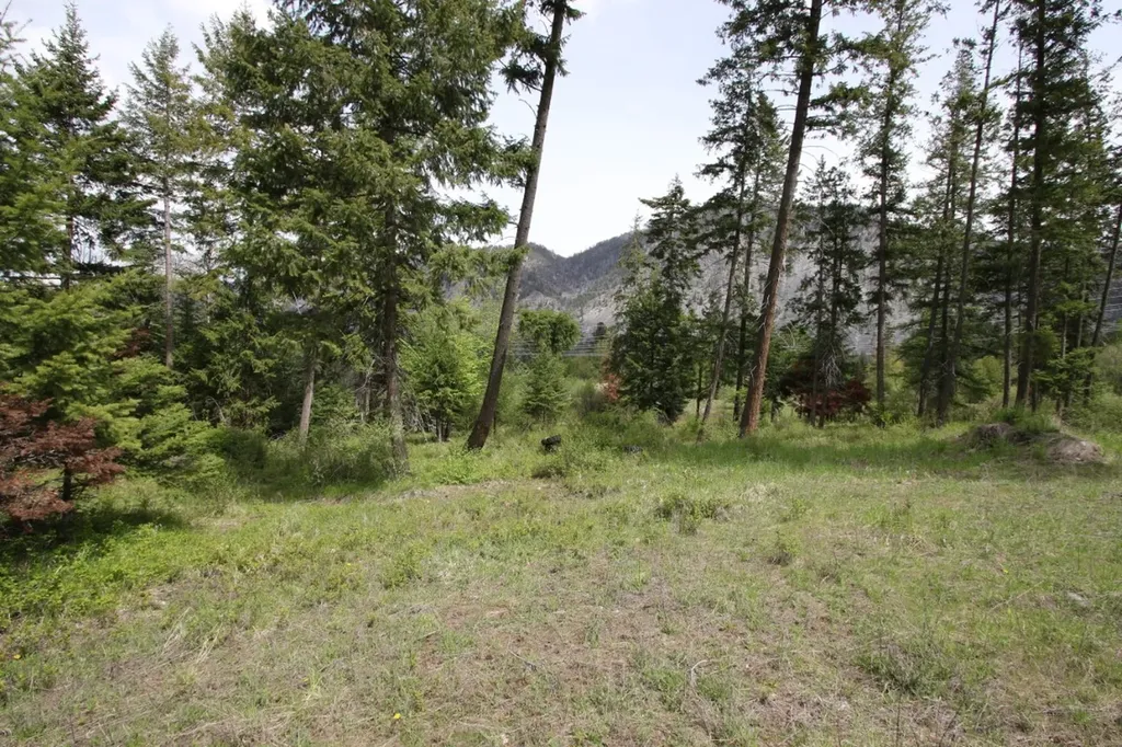 Nhn Tract 1-b River Road W Plains MT 59859
