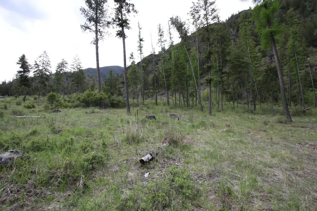 Nhn Tract 1-b River Road W Plains MT 59859