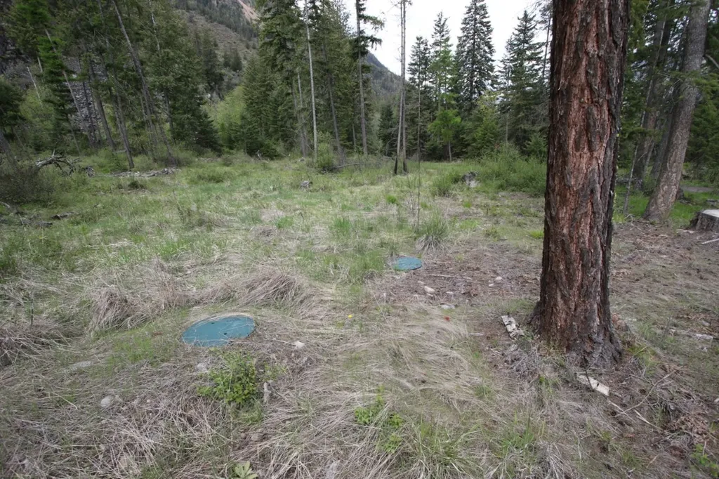 Nhn Tract 1-b River Road W Plains MT 59859