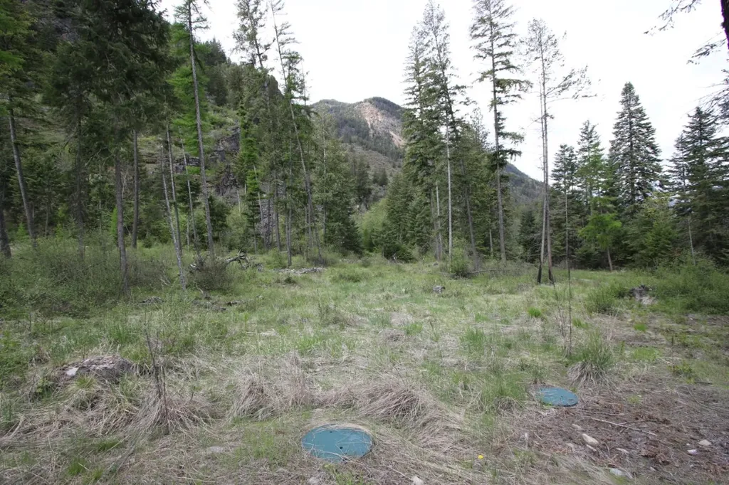 Nhn Tract 1-b River Road W Plains MT 59859
