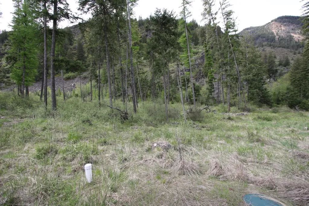 Nhn Tract 1-b River Road W Plains MT 59859