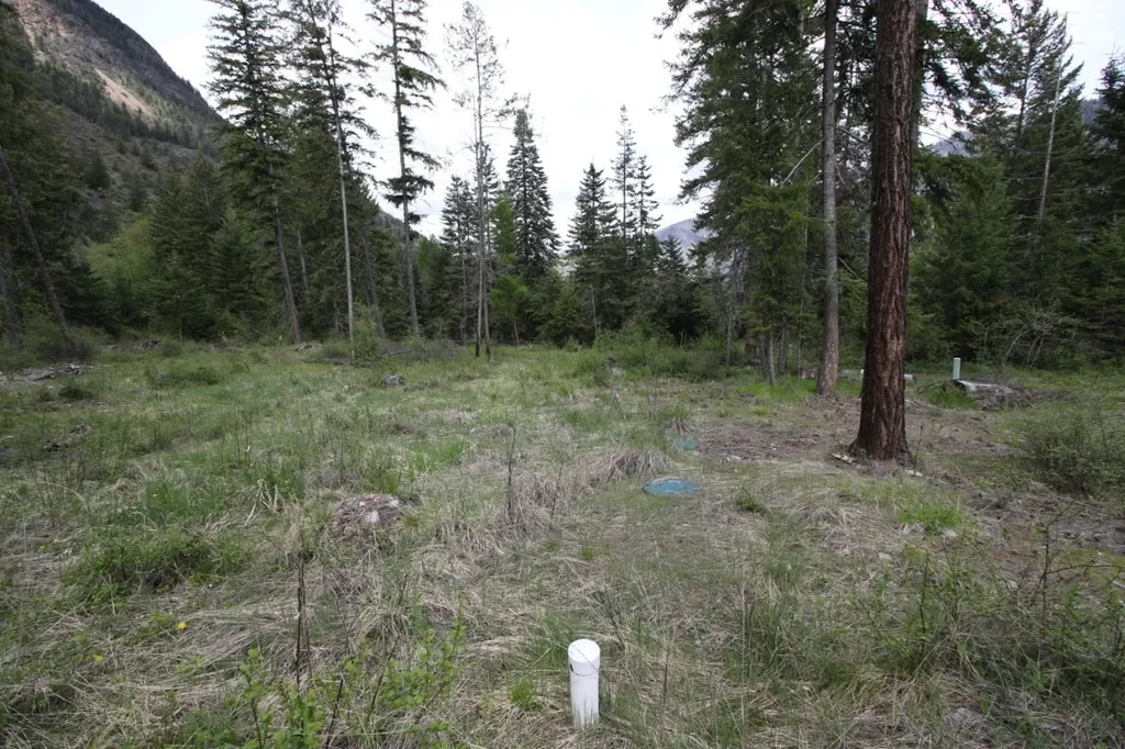 Nhn Tract 1-b River Road W Plains MT 59859