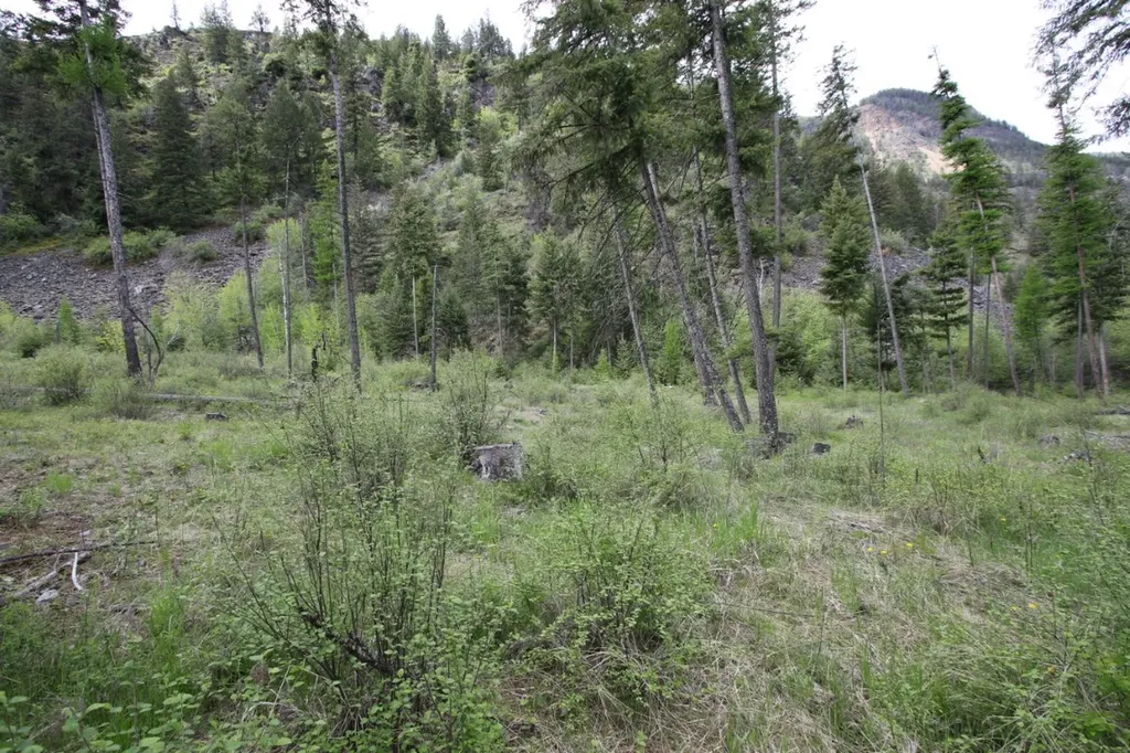 Nhn Tract 1-b River Road W Plains MT 59859