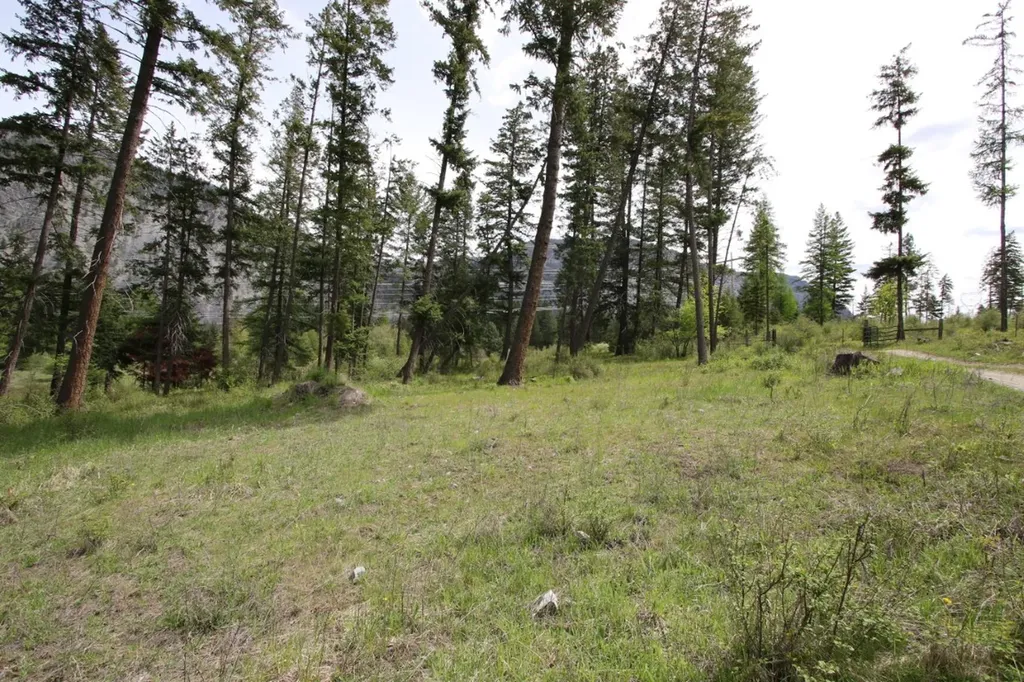 Nhn Tract 1-b River Road W Plains MT 59859