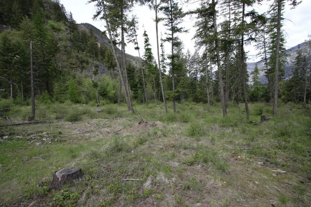 Nhn Tract 1-b River Road W Plains MT 59859