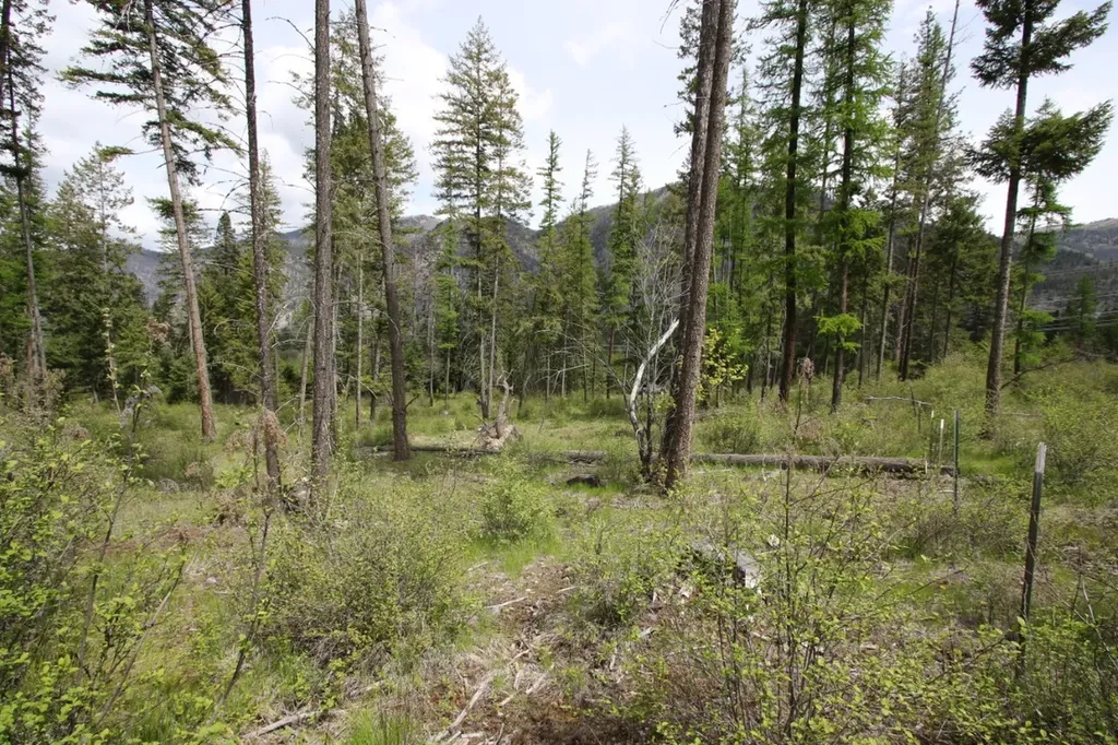 Nhn Tract 1-b River Road W Plains MT 59859