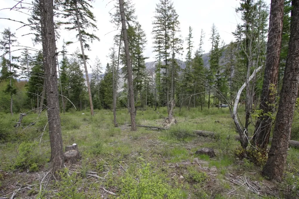 Nhn Tract 1-b River Road W Plains MT 59859