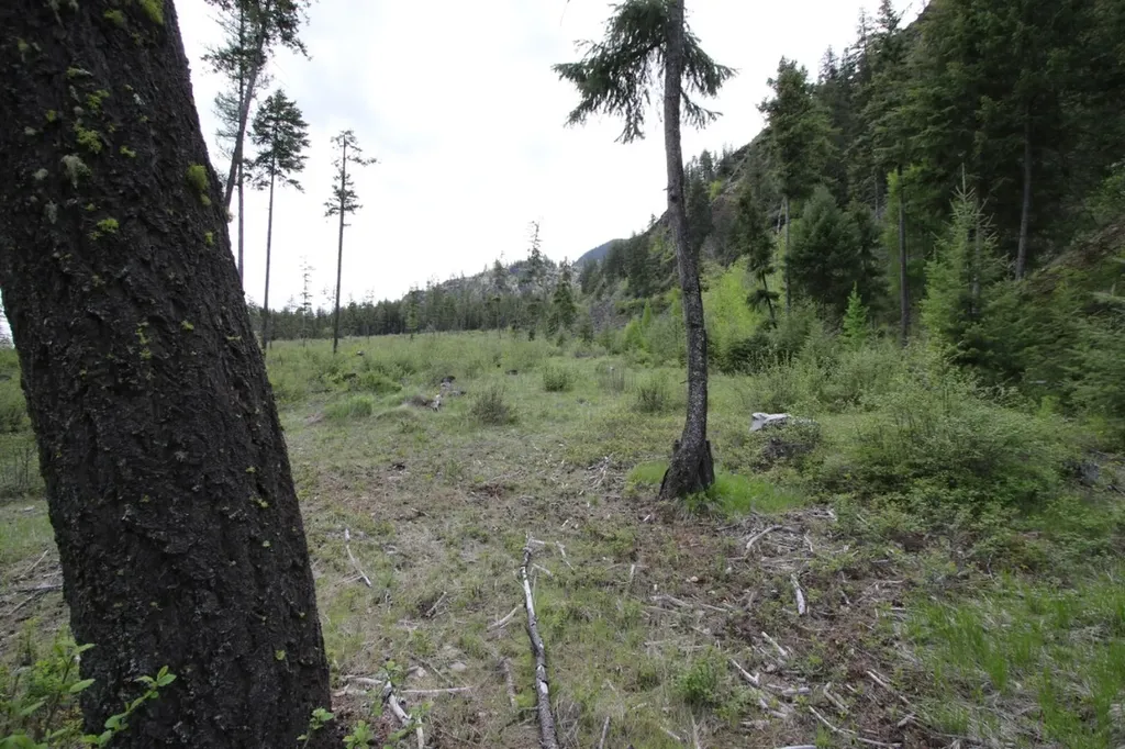 Nhn Tract 1-b River Road W Plains MT 59859