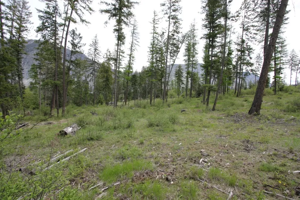 Nhn Tract 1-b River Road W Plains MT 59859
