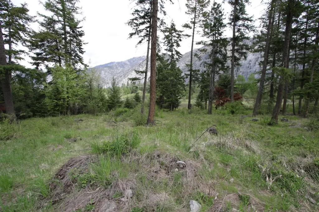 Nhn Tract 1-b River Road W Plains MT 59859