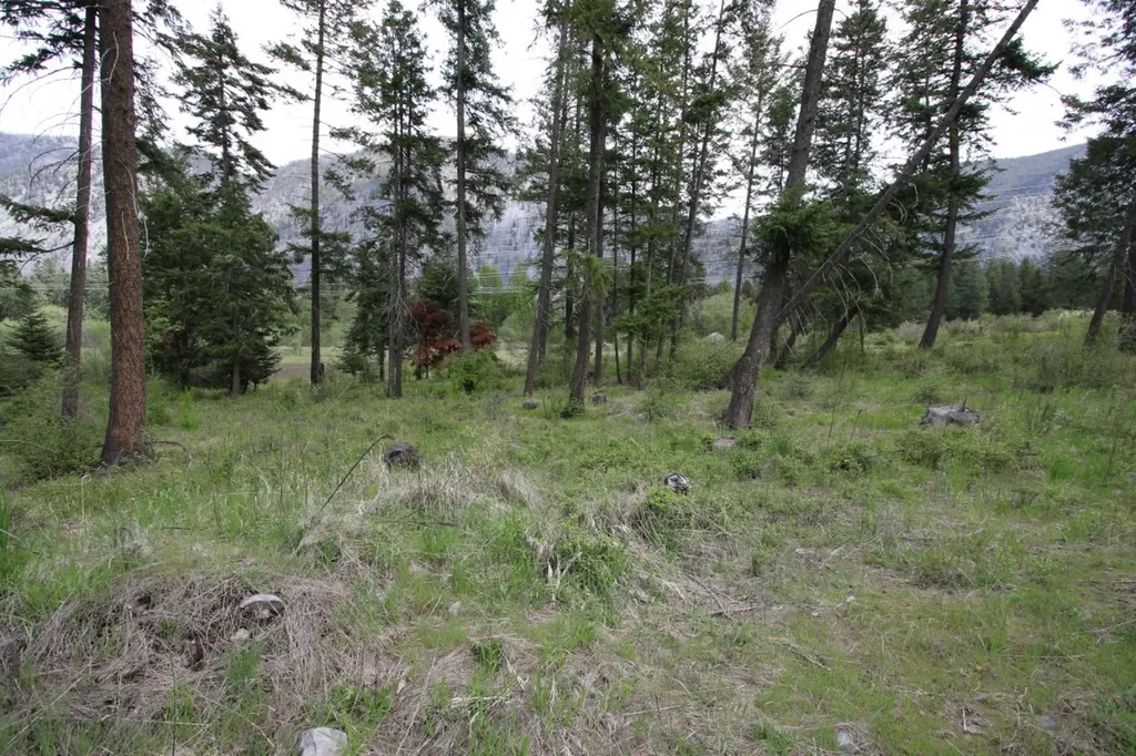 Nhn Tract 1-b River Road W Plains MT 59859