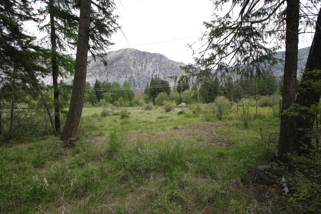 Nhn Tract 1-b River Road W Plains MT 59859