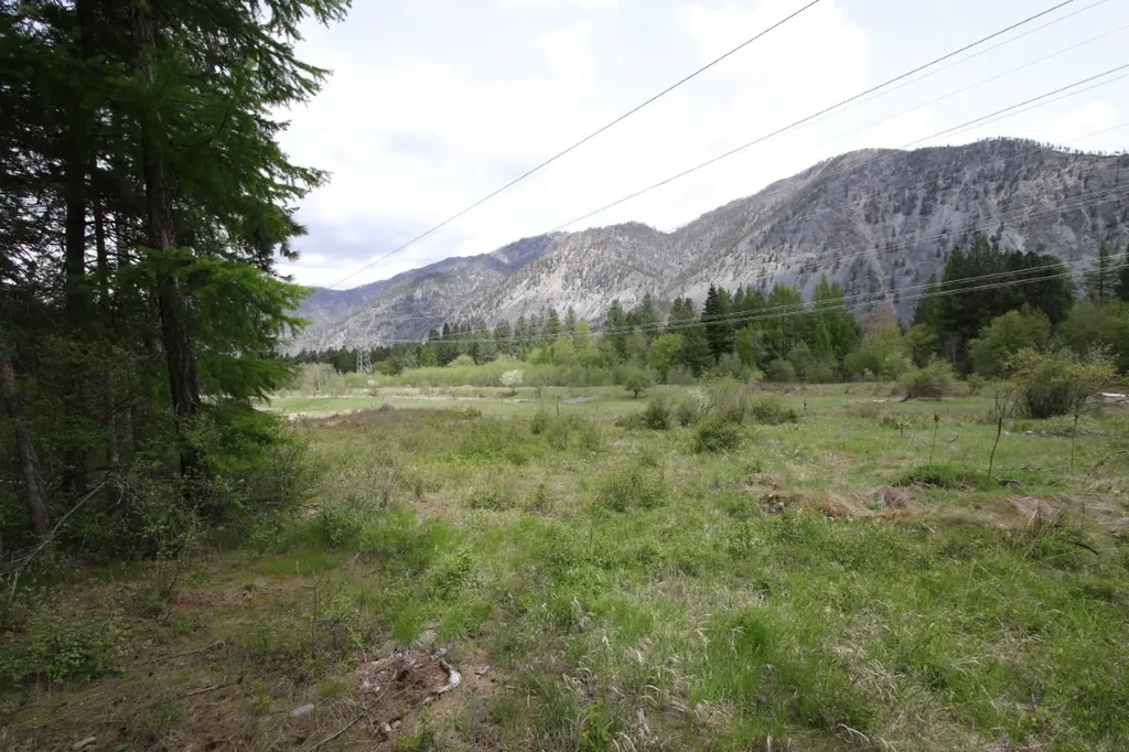 Nhn Tract 1-b River Road W Plains MT 59859