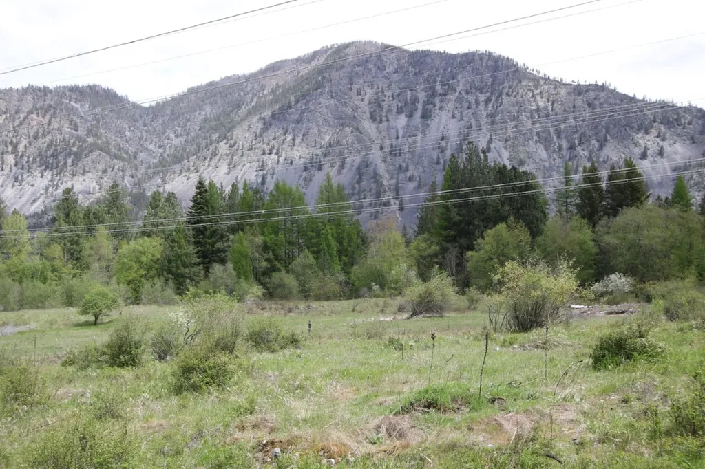 Nhn Tract 1-b River Road W Plains MT 59859