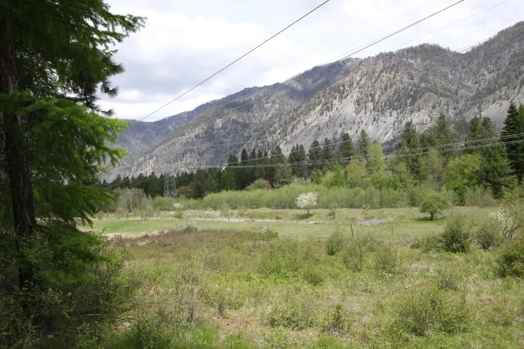 Nhn Tract 1-b River Road W Plains MT 59859
