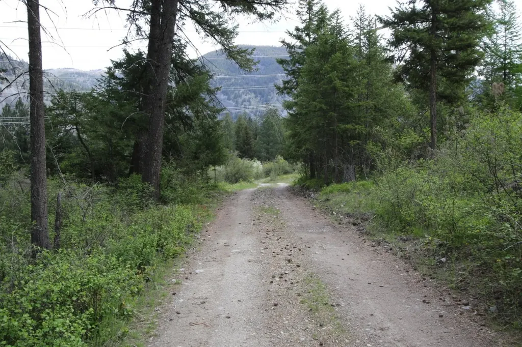Nhn Tract 1-b River Road W Plains MT 59859