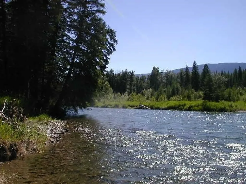 Nhn Old Mill Road Bigfork MT 59911