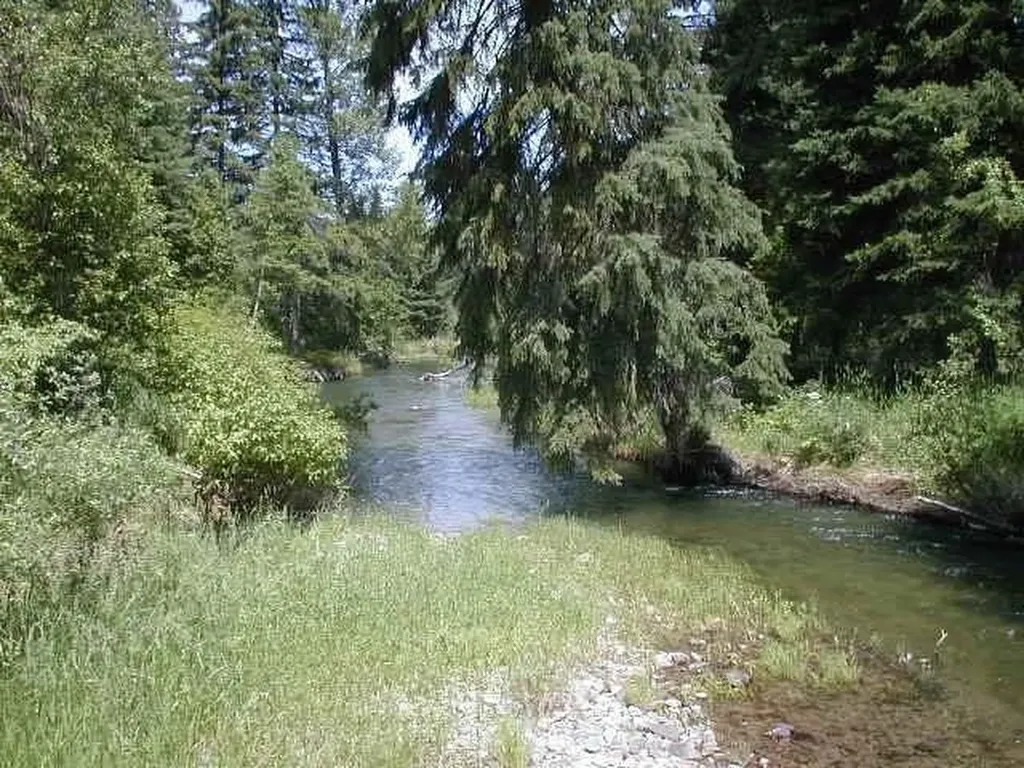 Nhn Old Mill Road Bigfork MT 59911