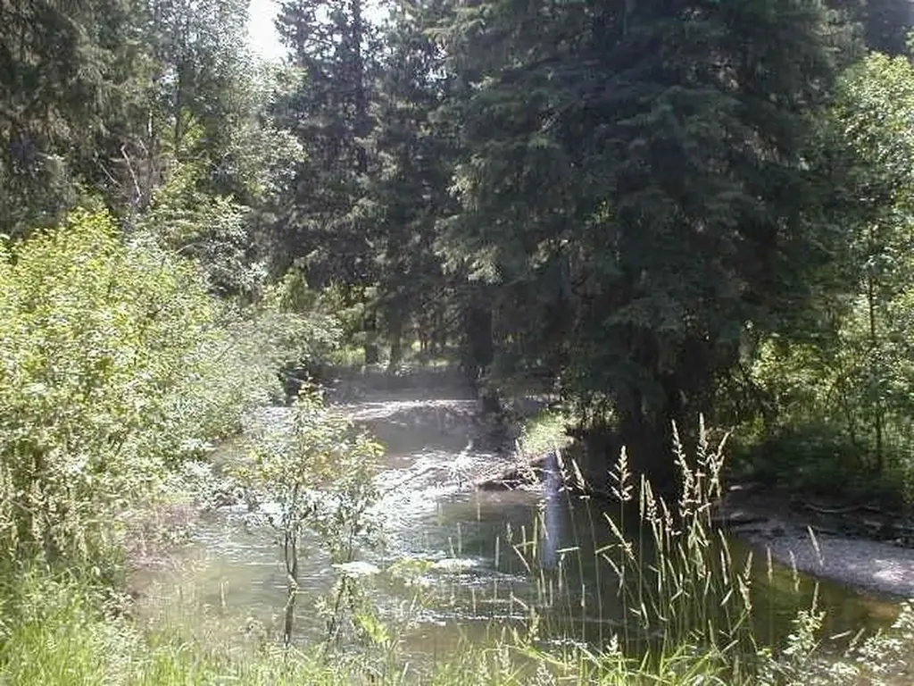 Nhn Old Mill Road Bigfork MT 59911