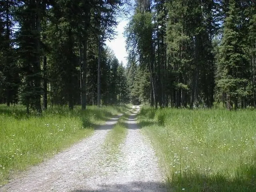 Nhn Old Mill Road Bigfork MT 59911