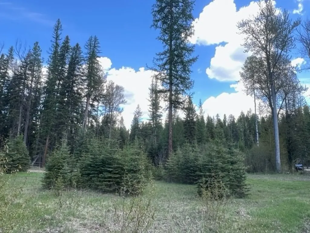 Nhn Old Mill Road Bigfork MT 59911