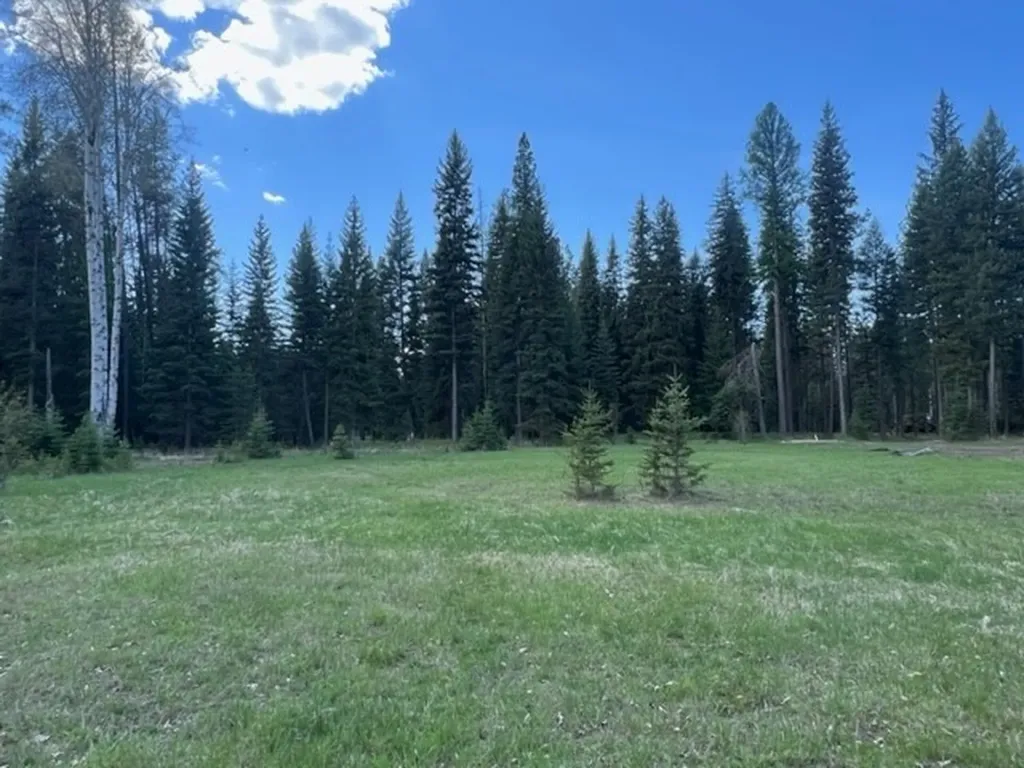 Nhn Old Mill Road Bigfork MT 59911
