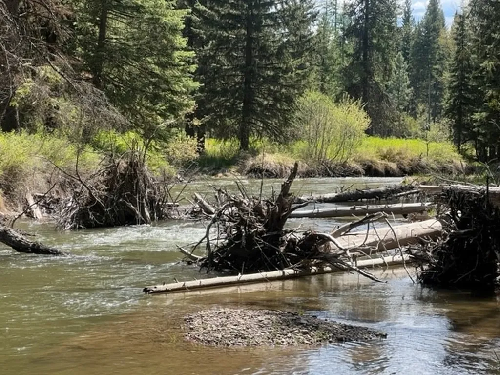 Nhn Old Mill Road Bigfork MT 59911
