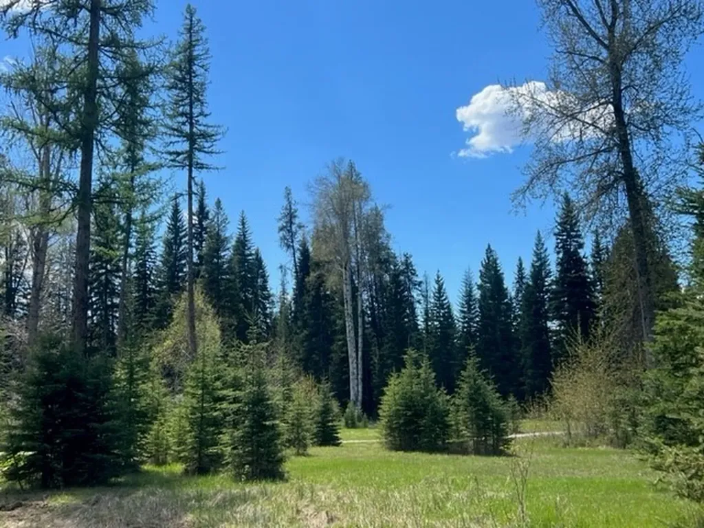 Nhn Old Mill Road Bigfork MT 59911