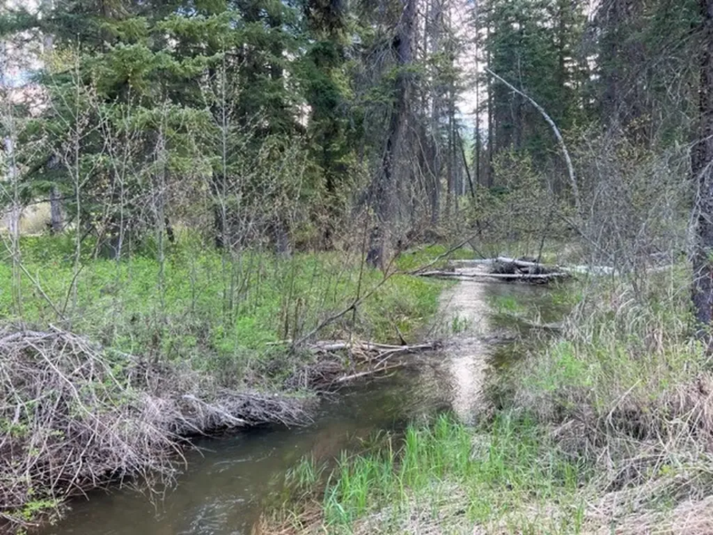 Nhn Old Mill Road Bigfork MT 59911