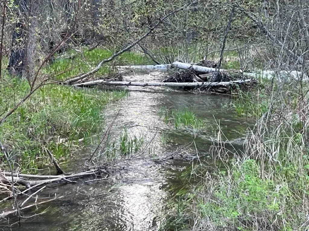 Nhn Old Mill Road Bigfork MT 59911