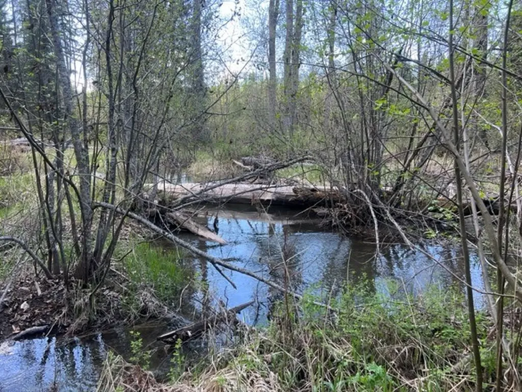 Nhn Old Mill Road Bigfork MT 59911