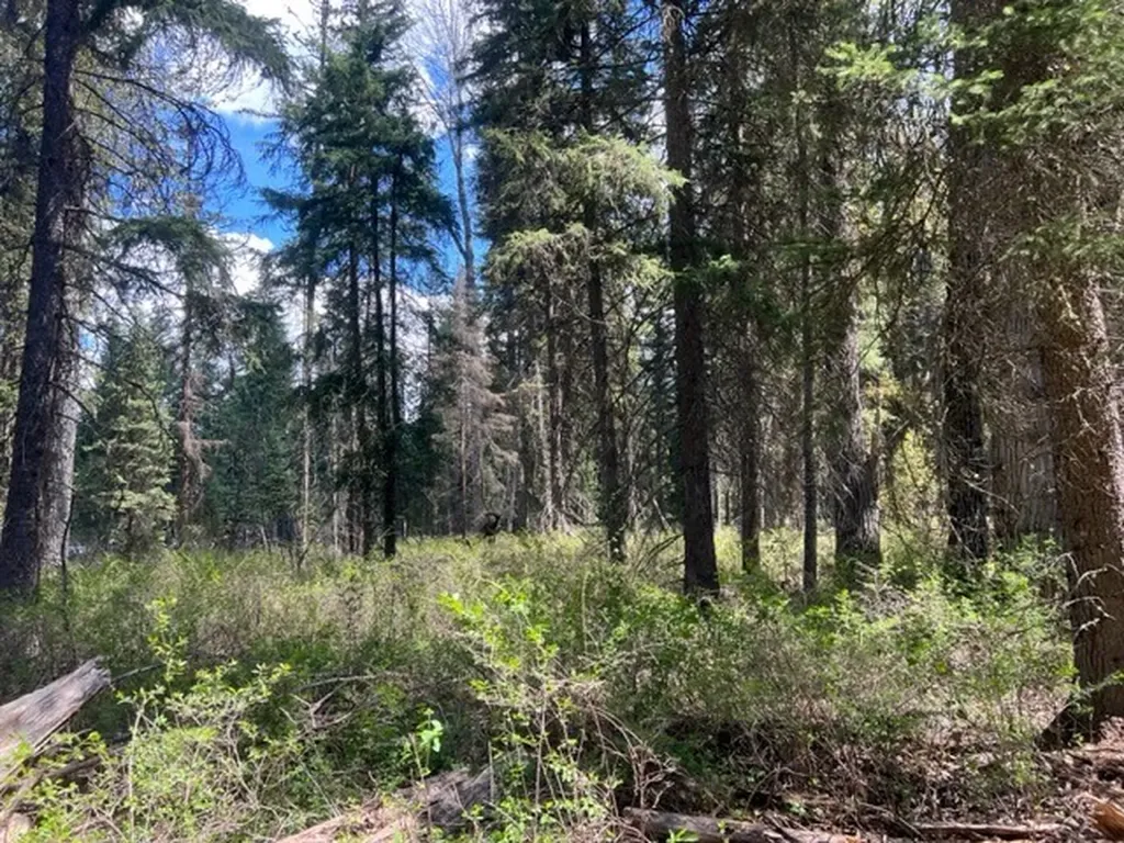 Nhn Old Mill Road Bigfork MT 59911