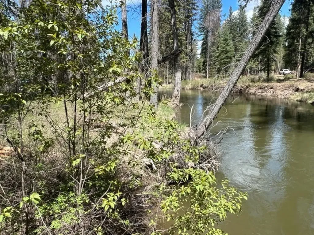 Nhn Old Mill Road Bigfork MT 59911