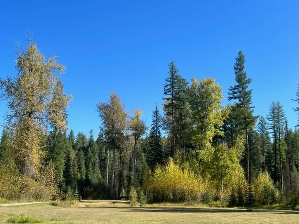 Nhn Old Mill Road Bigfork MT 59911