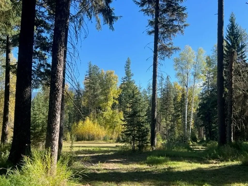 Nhn Old Mill Road Bigfork MT 59911