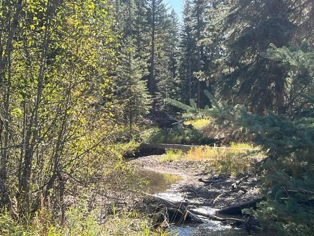 Nhn Old Mill Road Bigfork MT 59911