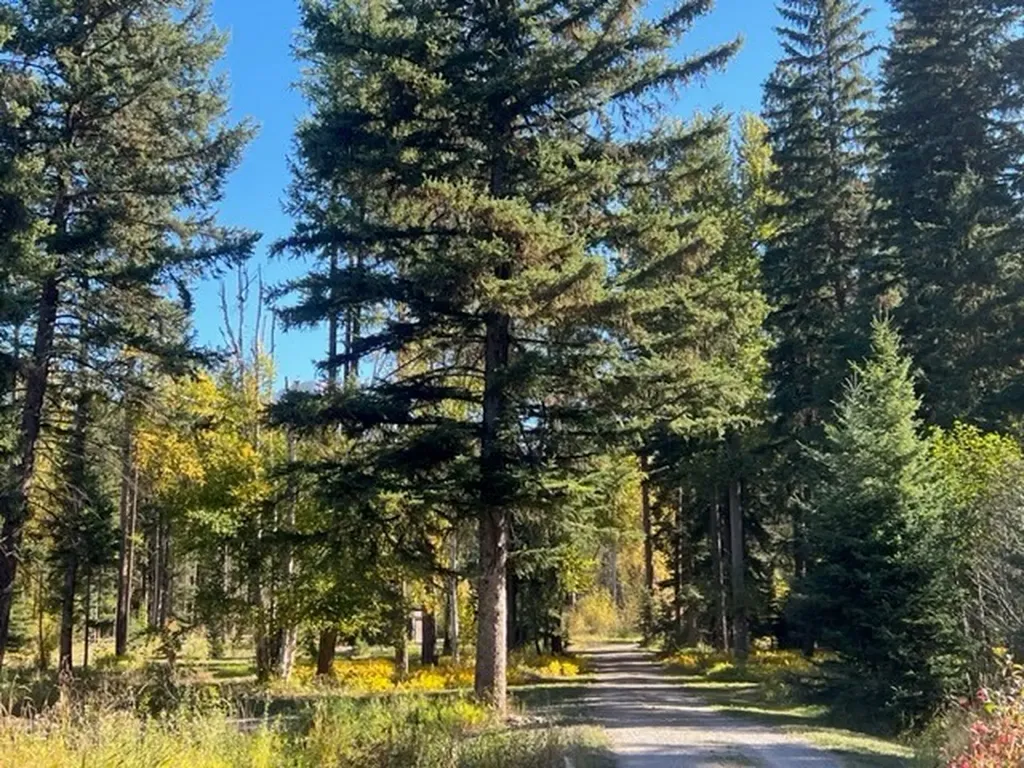 Nhn Old Mill Road Bigfork MT 59911