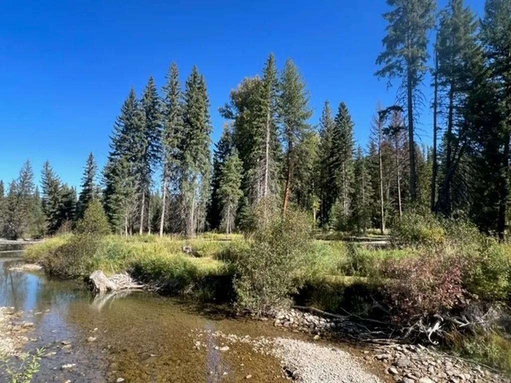 Nhn Old Mill Road Bigfork MT 59911