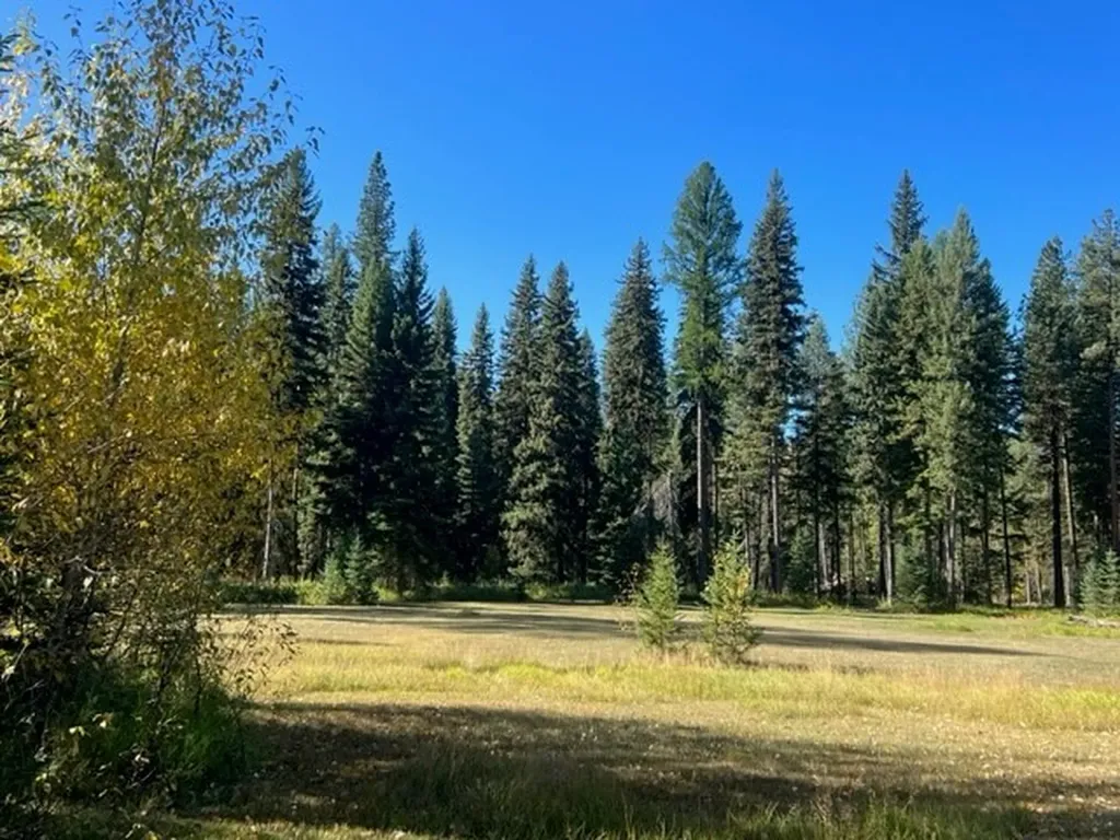 Nhn Old Mill Road Bigfork MT 59911