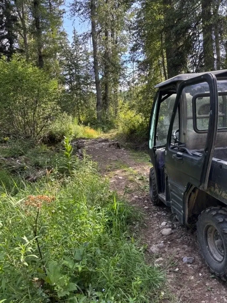 Nhn Old Mill Road Bigfork MT 59911